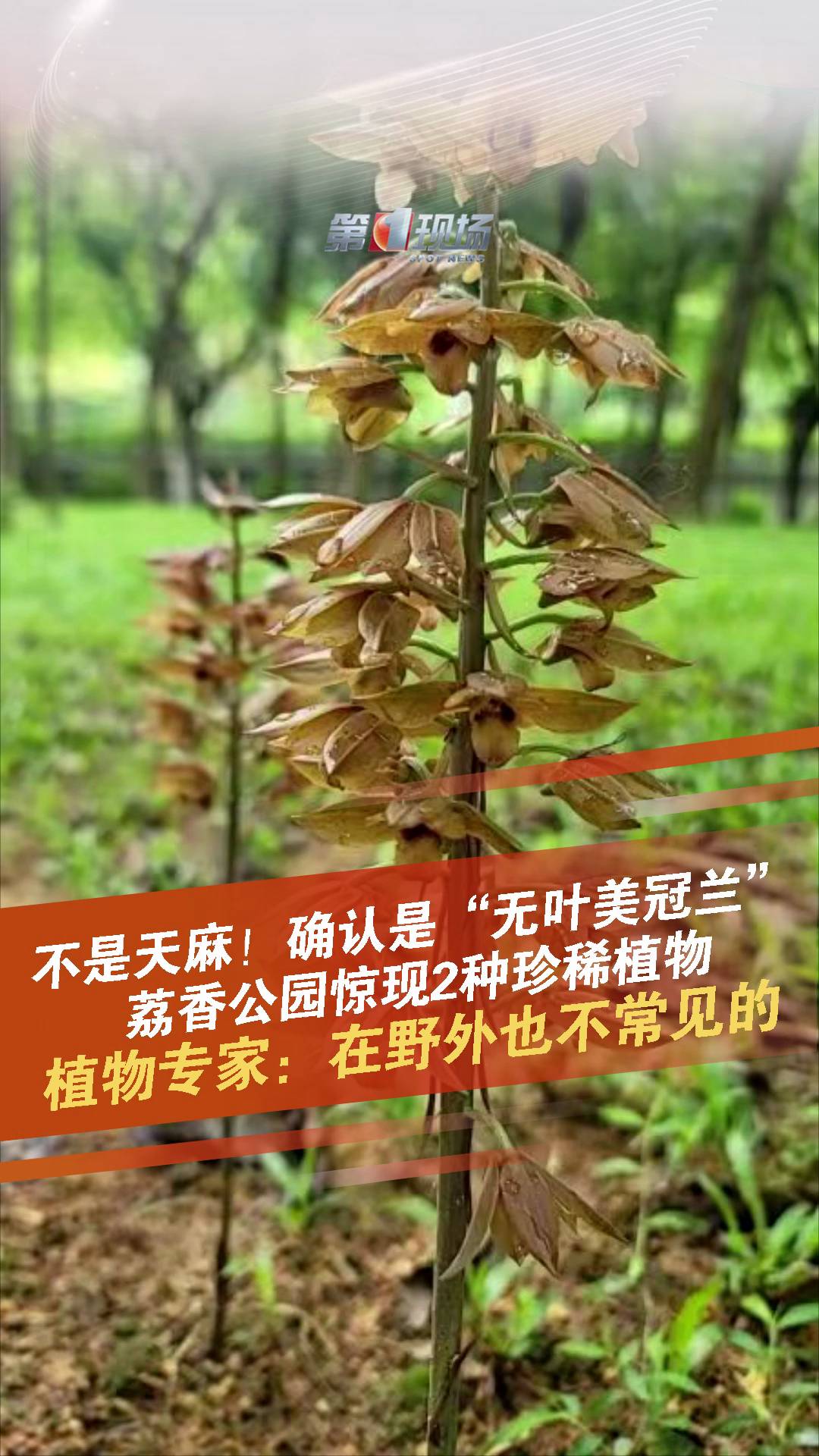 һF(xin)ԭ(chung)LՏV|ھW(wng)ѷӳ㹫@(ni)@F(xin)o~mֲҵ(yn)ʾ_J(rn)ǟo~mF(xin)߀l(f)F(xin)mһҰҲҊĿǰLrǳßo~m㹫@